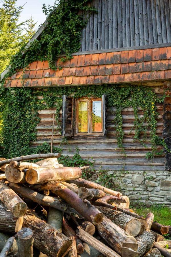Хатина Біля Потока Villa Lumshory Buitenkant foto