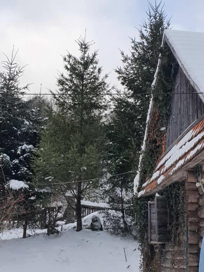 Хатина Біля Потока Villa Lumshory Buitenkant foto